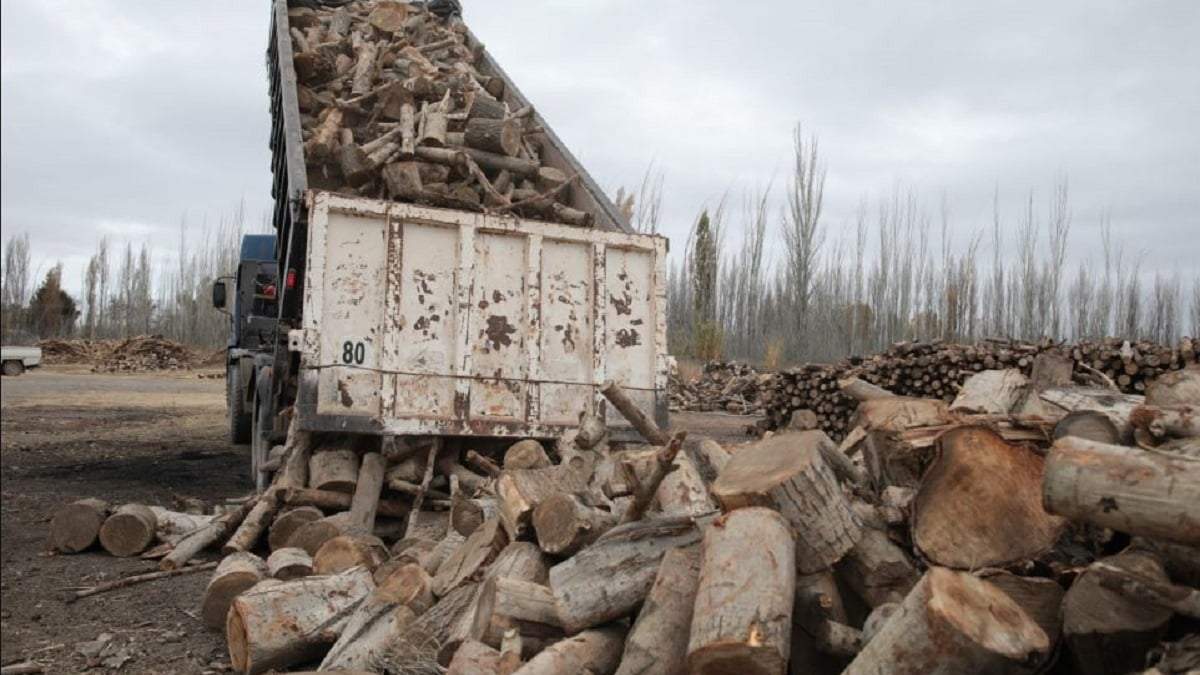 La provincia ya adquirió 6 mil metros de leña para cubrir la demanda de 20 mil hogares hasta septiembre. Fuente: (Gobierno de Neuquén)
