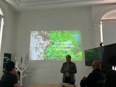 Árboles, resistencia del equilibrio ecológico en la CDMX