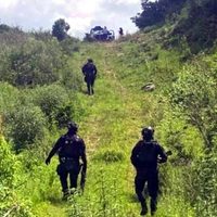Descubren ocho osamentas humanas en terreno de Tarímbaro, Michoacán