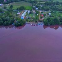 Exigen a la Profepa clausurar y sancionar proyecto turístico en la laguna de Manialtepec