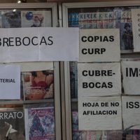 Adultos mayores, embarazadas y enfermos crónicos del gobierno, a trabajar desde casa