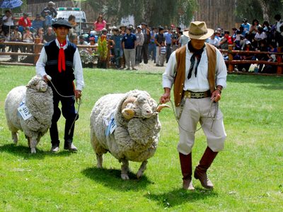 ¡Cita imperdible!: Nueva edición de la Expo Rural de Bariloche