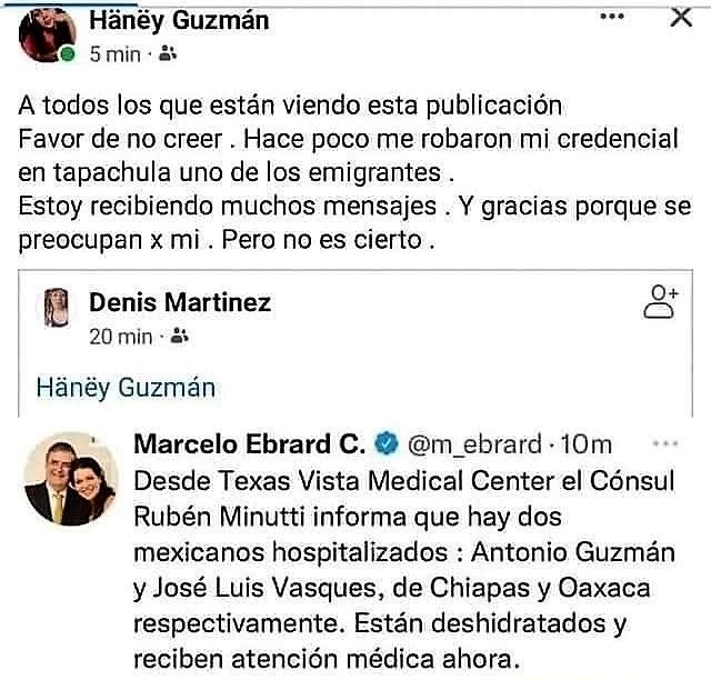 INE CHIAPANECA