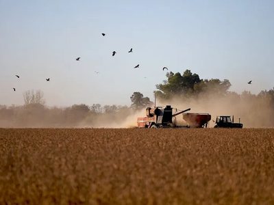 Vuelven las retenciones al campo: en solo 3 días se agotó el cupo de USD 7.000 millones con liquidación al 0 %