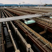 Sequía en el Cutzamala podría obligar a racionar el suministro de agua: Conagua