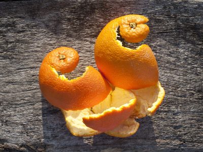 No tires las cáscaras de la mandarina: mirá 5 increíbles usos que le podés dar en tu hogar