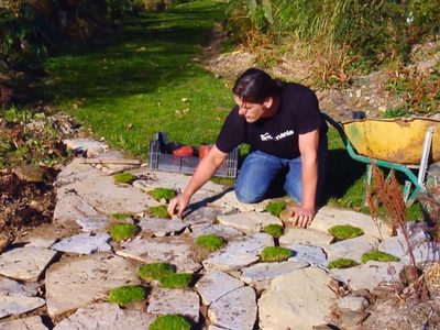 La planta que se cuida sola, es perfecta para cubrir suelos y crece en lugares difíciles de tu jardín