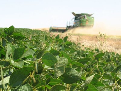 Alimentos que impactan en el cambio climático y el calentamiento global