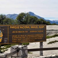 Indignación en Bariloche: un grupo de jóvenes encendió una fogata el Parque Nacional Nahuel Huapi
