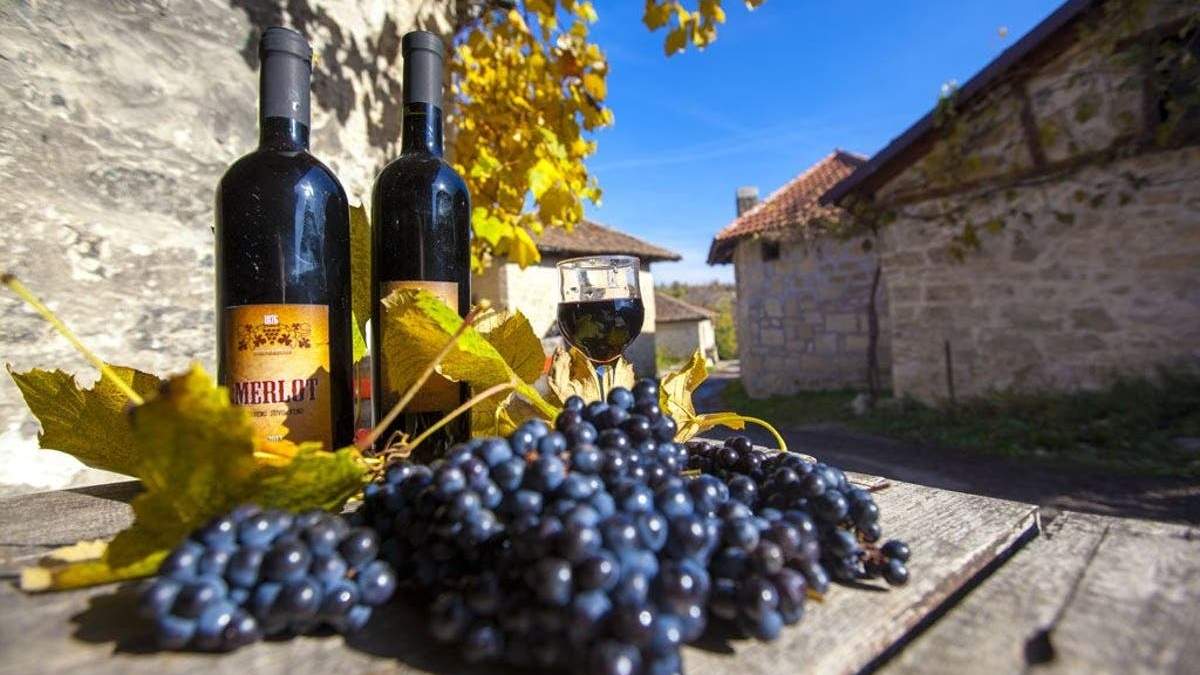 El resurgimiento de los vinos serbios. Fuente: (Twitter)