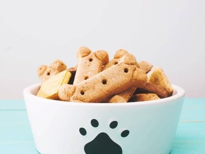 No compres snacks en el Pet Shop y hacé estas galletas para tu perro, saludables y súper crocantes