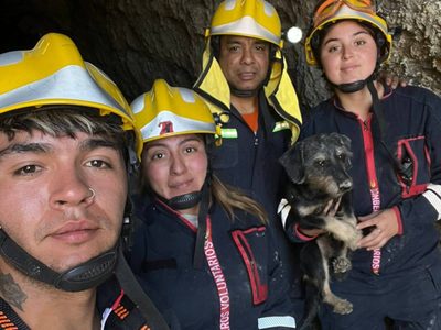 Bomberos de Buta Ranquil rescataron a Poroto, un perrito que había quedado atrapado en una mina