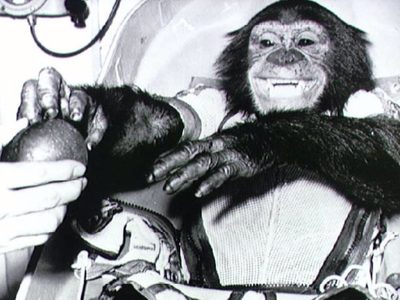 Se cumplen 62 años del primer primate en el espacio