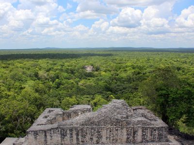 Unesco solicita a México información sobre hotel en la Reserva de Calakmul
