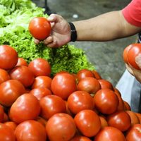 El INDEC difunde esta tarde la inflación de junio: cuáles son los pronósticos