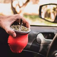 Ley de Tránsito: qué provincias sancionan por tomar mate al volante y de cuánto es la multa