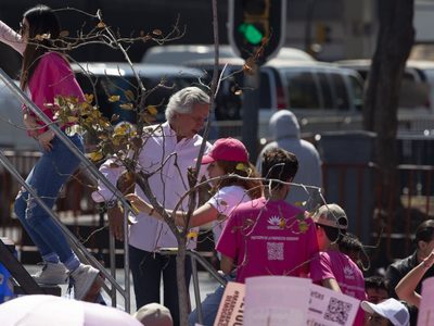 Vuelve la Marea Rosa: ahora va contra la “sobrerrepresentación”