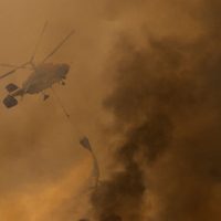 Incendios forestales en Grecia y Turquía podría darse en España: WWF