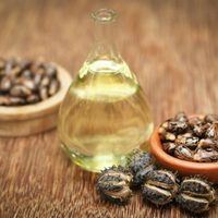 Conocé los increíbles beneficios de este aceite tan común para tener la piel más sana y bella