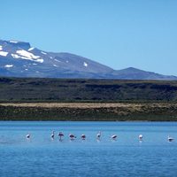 80 años de historia del Parque Nacional Laguna Blanca