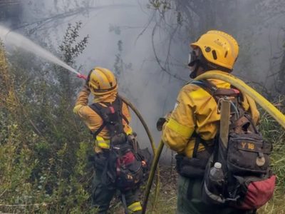 Seis incendios en Neuquén: tres focos siguen fuera de control y brigadistas refuerzan los operativos
