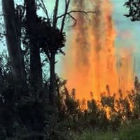 En Villa La Angostura buscan generar conciencia para evitar incendios forestales