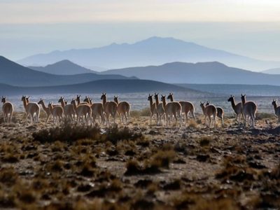 Pronóstico: se espera un fin de semana caluroso en Mendoza