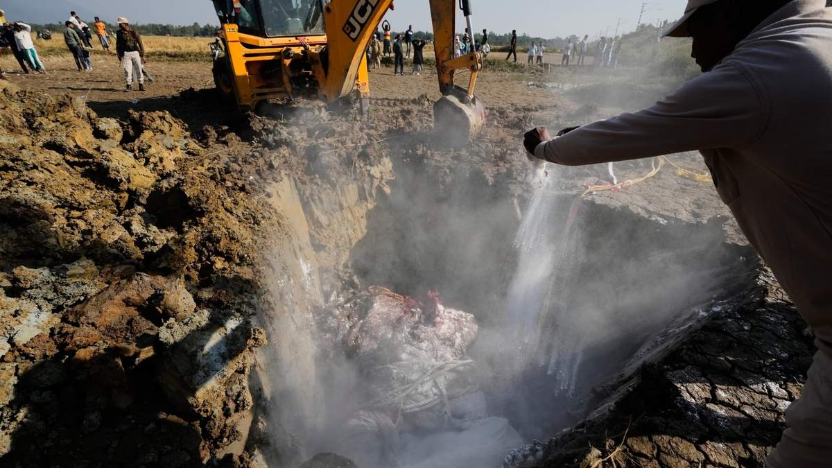 Los elefantes fueron sepultados en el lugar del accidente