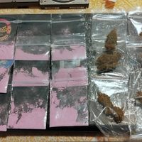 Allanamiento en la capital neuquina: secuestran estupefacientes y detienen a un sospechoso vinculado al caso