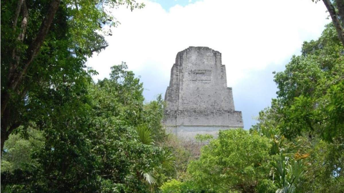Una pirámide se eleva desde la selva tropical de Tikal