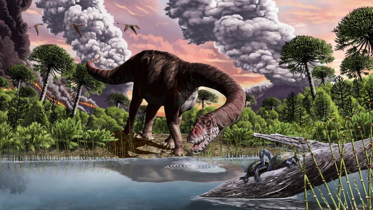Imagen ilustrativa de la especie encontrada. Fuente: (Twitter)