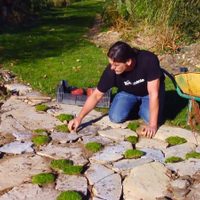 La planta perfecta como cubre suelo que soporta el calor más extremo y atrae mariposas