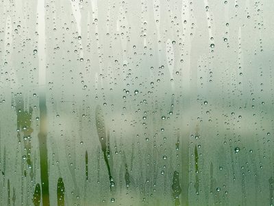 El truco sin gastar dinero para que nunca más se empañe el espejo de tu baño o el vidrio del auto