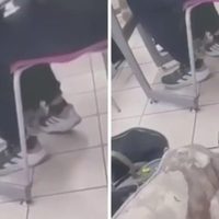 Padre irrumpe en preparatoria UNLA y amenaza de muerte a estudiantes por bullying contra su hijo