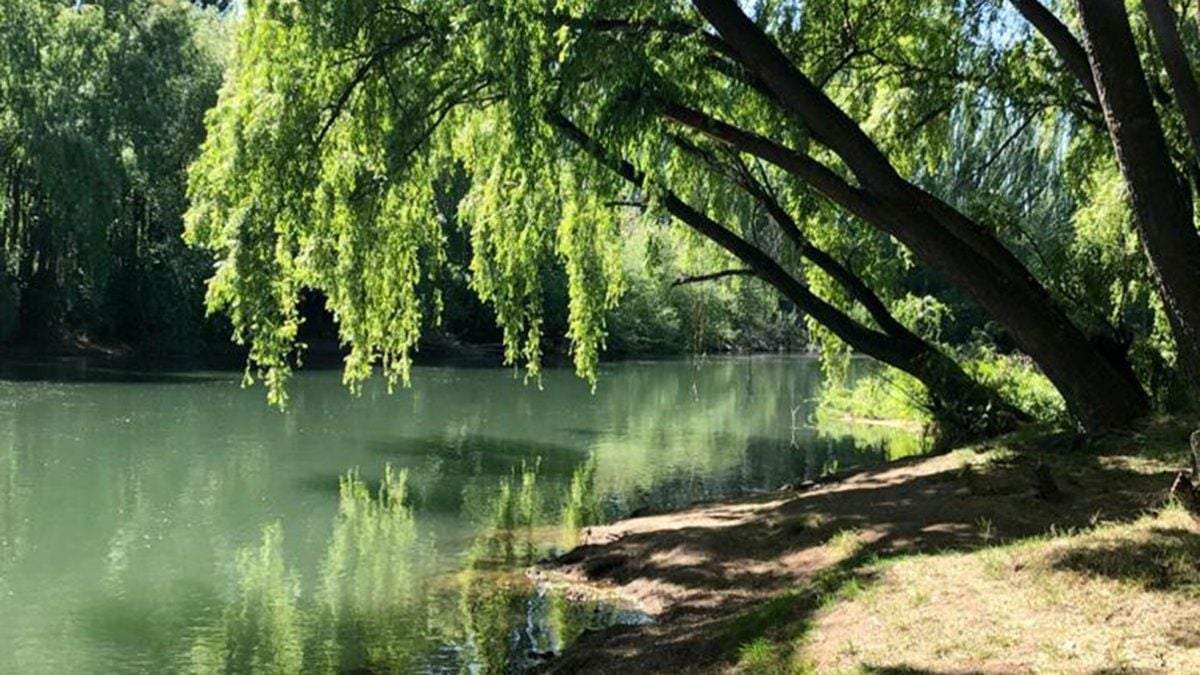 Parque ecológico. Fuente: (Twitter)