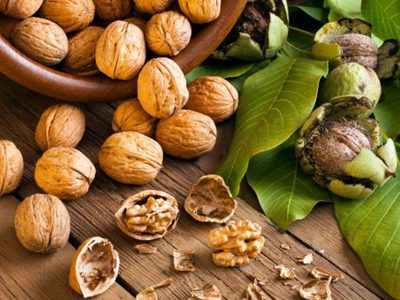 Nueces gratis y para siempre: así podés germinar una nuez y tener tu propio árbol de nogal