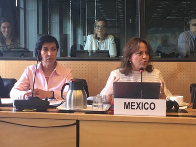La ONU cuestiona esfuerzos de México para erradicar la práctica "endémica" de la tortura