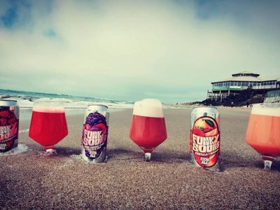 Cervecería de Mar del Plata saca una línea con "frutas de verdad"