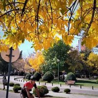 Clima en Neuquén: el feriado llega con tardes templadas y noches frías