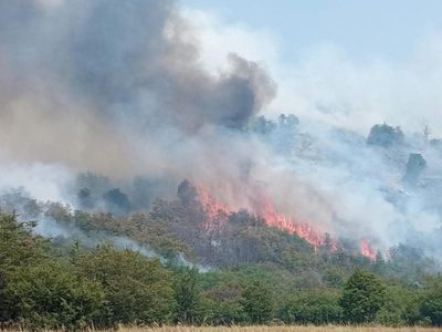 Patagonia en emergencia: refuerzan el operativo contra los incendios en Neuquén y Río Negro