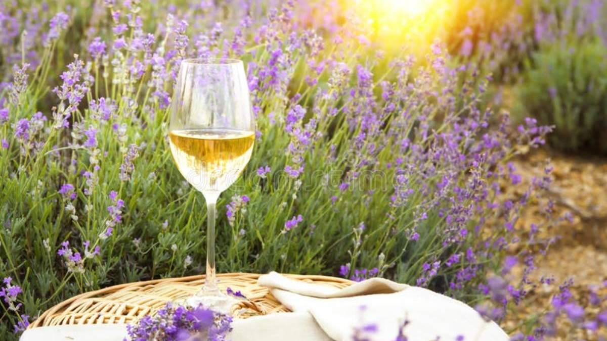 Vino de lavanda para la salud. Fuente:(Instagram)