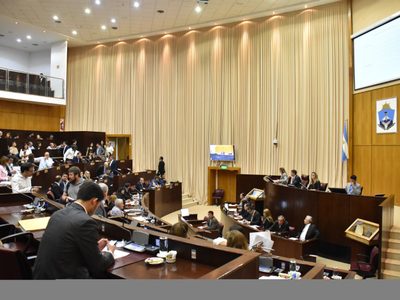 Quién reemplazará a Darío Martínez: reclaman por el cumplimiento de la ley de paridad de género