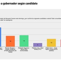 Según una encuesta, el MPN encabeza la intención de voto para la gobernación