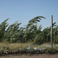 Clima en Neuquén: el viento no para en la región, se esperan ráfagas moderadas