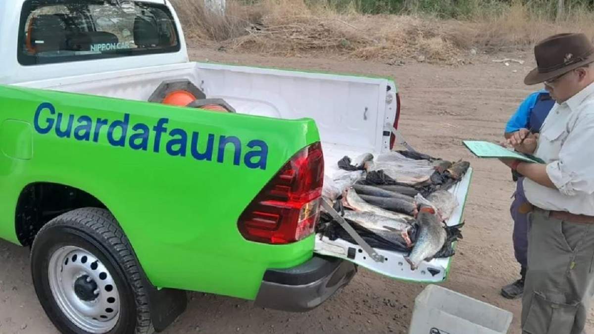 Buscan garantizar una respuesta más eficiente a las demandas ambientales, productivas, sociales y territoriales. Fuente: (Gobierno de Neuquén)