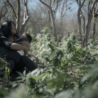 'Sanctorum”, la explotación del narco a campesinos