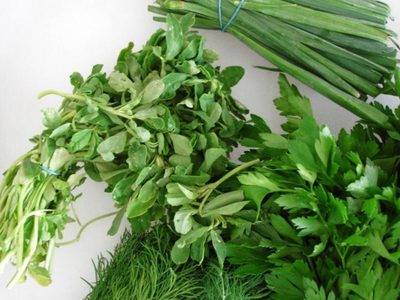 Cómo conservar hierbas aromáticas para cocinar
