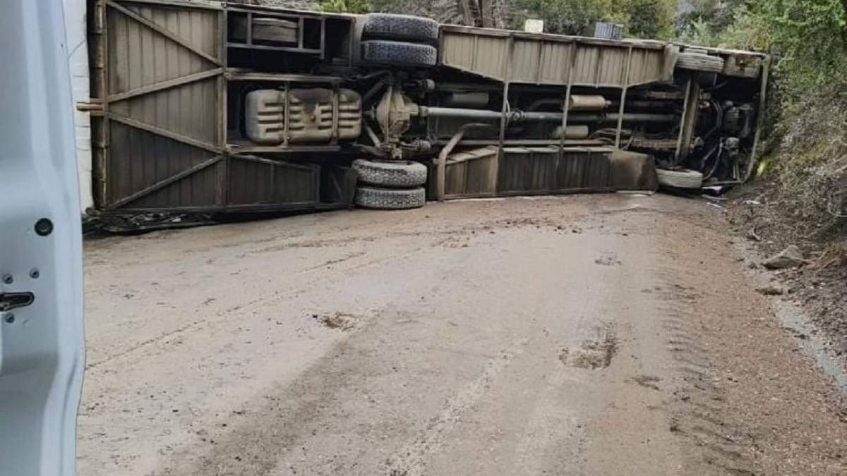 El chofer del colectivo evitó la caída al precipicio. Fuente (WhatsApp)