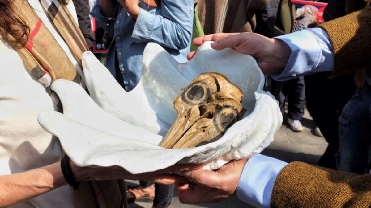 Niños, jóvenes y activistas, encabezaron procesión en honor a la Vaquita Marina