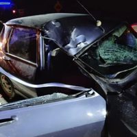 Incidente vial: una familia impactó contra un caballo que se les cruzó por la Ruta Provincial 61